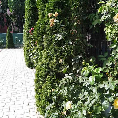 Violet Garden 2 Veranda *